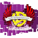 Audio DJ Entertainment - Disc Jockeys