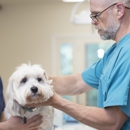 Pine Street Animal Hospital - Veterinary Clinics & Hospitals