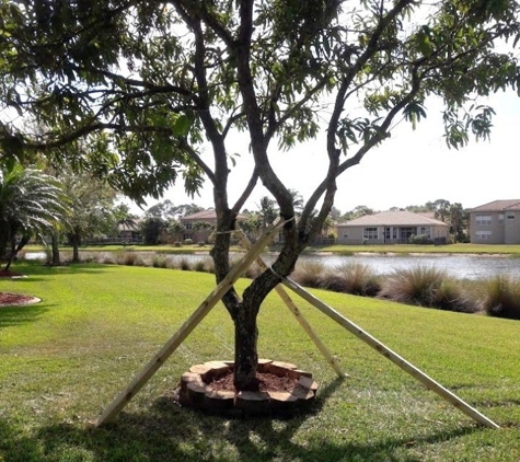SaveMore Tree Service Inc - West Palm Beach, FL