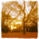 Beth Israel Cemetery