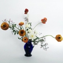 Meadow Memorials-Cremations and Funerals - Funeral Directors
