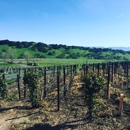 Rusack Vineyards - Tourist Information & Attractions