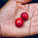 Grand Paradé COFFEE - Coffee & Tea-Wholesale & Manufacturers