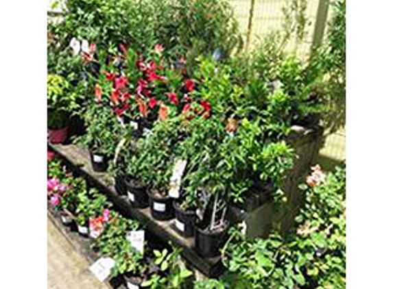 Boylans Garden & Pet Supplies - Bundaberg Central, QLD
