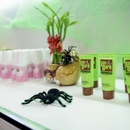 Lay Bare Waxing Salon - Beauty Salons