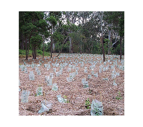 Vinton Tree Services & Plant Hire - Kingston, QLD