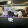 Community Orthopedic Medical Group gallery