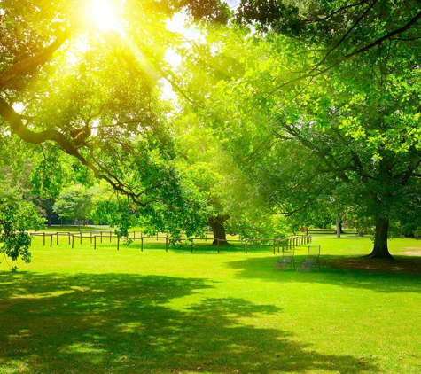 Australian Direct Cremations & Funeral Services - Newcastle, NSW