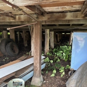 Gallery Image Number 5