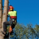 RTD Tree Care
