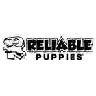 Reliable Puppies