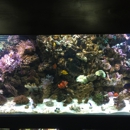 Ocean Blue Aquatic Services - Aquariums & Aquarium Supplies