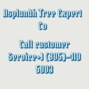 Asplundh Tree Experts - Tree Service