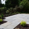 Red Cedar Arborists & Landscapers gallery