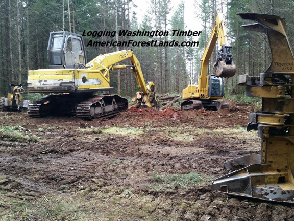 American Forest Lands Washington Logging Company LLC. Logging Company Eatonville, Rainier, Graham, Maple Valley