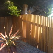 Gallery Image Number 8