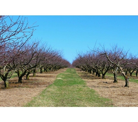 Wemrock Orchards, Inc. - Freehold, NJ