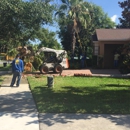 Jeffenson's Tree Service & Landscaping - Tree Service