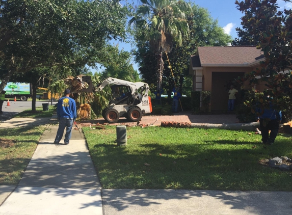 Jeffenson's Tree Service & Landscaping - Ocoee, FL
