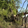 Victory One Tree Service & Stump Grinding gallery
