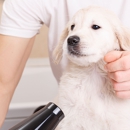 Dipity Do Dog Pet Grooming Salon - Pet Grooming