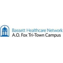 Emergency Dept, A.O. Fox Hospital-Tri-Town Campus - Health & Welfare Clinics