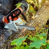 Mike's Tree Service gallery