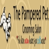 Pampered Pet Dog Grooming Shop gallery