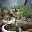 Gardens of Delight - Garden Centers