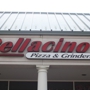 Bellacino's Pizza & Grinders