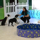 Letta's Dawgie Day Spa - Pet Boarding & Kennels