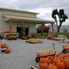 Gail's Pumpkin Patch gallery