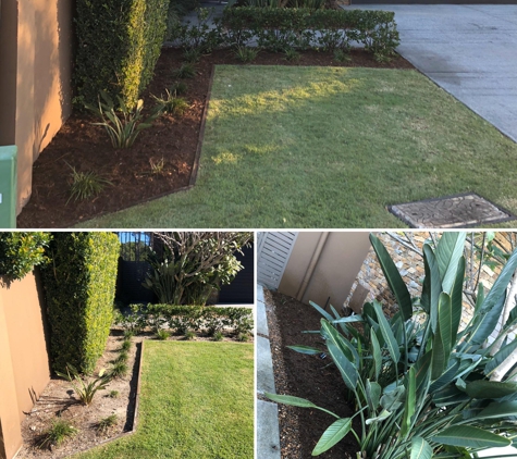 Pristine Acreage Mowing & Maintenance Pty Ltd - Burleigh Heads, QLD