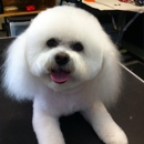 Colleen's Dog Grooming - Pet Services