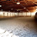 Burns Equine - Horse Training