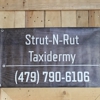 Strut-N-Rut Taxidermy gallery
