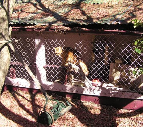 Palane Kennels - Hazelbrook, NSW