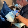 Northbridge Dental gallery