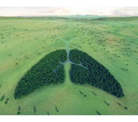 Stephenson Environmental Management Australia