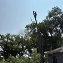 Cut And Chip Tree Service - Tree Service