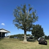 Smith Tree Service gallery