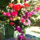 More Than Flowers Miami Florist and Flower delivery - Flowers, Plants & Trees-Silk, Dried, Etc.-Retail