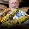 The Reptile Man gallery