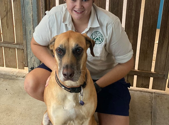 Mareeba Veterinary Surgery - Mareeba, QLD