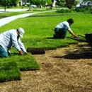 Doug Scott Lawn Maintenance - Landscape Designers & Consultants