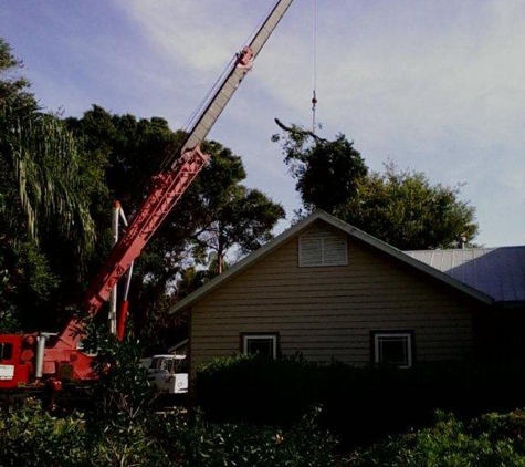 Tree Service By Curtis, Inc. - Merritt Island, FL