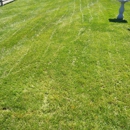 D'Alessio Lawncare - Landscaping & Lawn Services