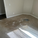 Vital Clean Carpet Cleaning - Carpet & Rug Cleaners