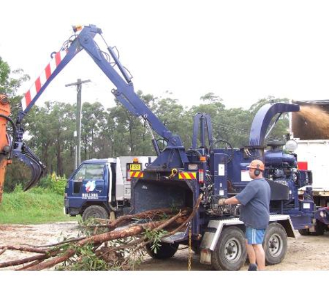 Bulldog Trees - Maroota, NSW