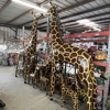 Cuevas Imports Wholesale Mexican Imports gallery